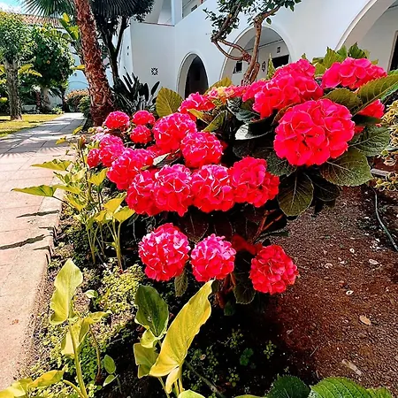 Playa Hacienda Apartment Estepona